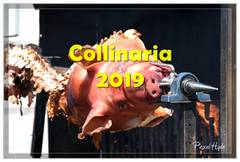 Collinaria 2019