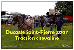 Ducasse Saint-Pierre 2007 - Traction chevaline