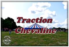 Ducasse Saint Pierre 2025 : 11 Concours de traction chevaline