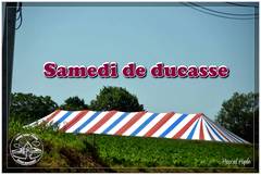 Ducasse Saint Pierre 2026 - Samedi de ducasse