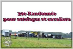 Ducasse Saint Pierre 2026 - 39e Randonnée pour attelages et cavaliers